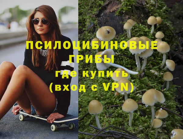 стафф Покачи