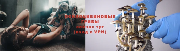 бошки Покровск